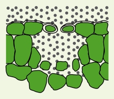 With micronization: The particles are very finely distributed