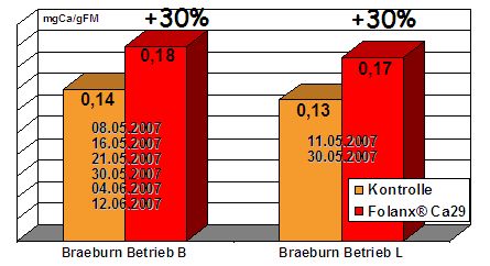 Folanx Ca29, der neue Calcium-Blattdnger - auch bei spter Applikation noch wirkungsvoll: mg Ca/100 g FM im Walnustadium (BBCH 73)