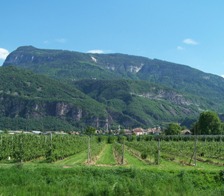 Trial Bozen-Laimburg (South Tyrol)